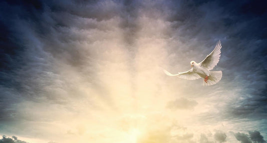 HIS Day,heavenly dove, In God's Service Store