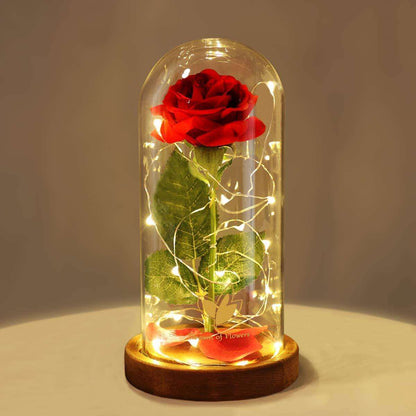 Magnificent Glass Domed Light Up LED Roses In God's Service Store