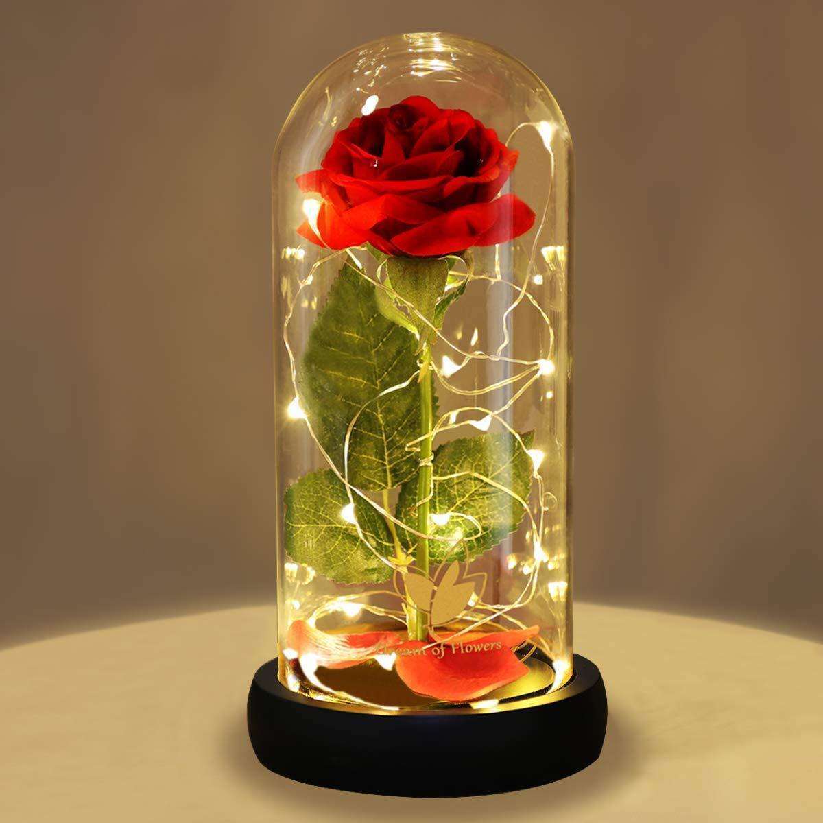 Magnificent Glass Domed Light Up LED Roses In God's Service Store