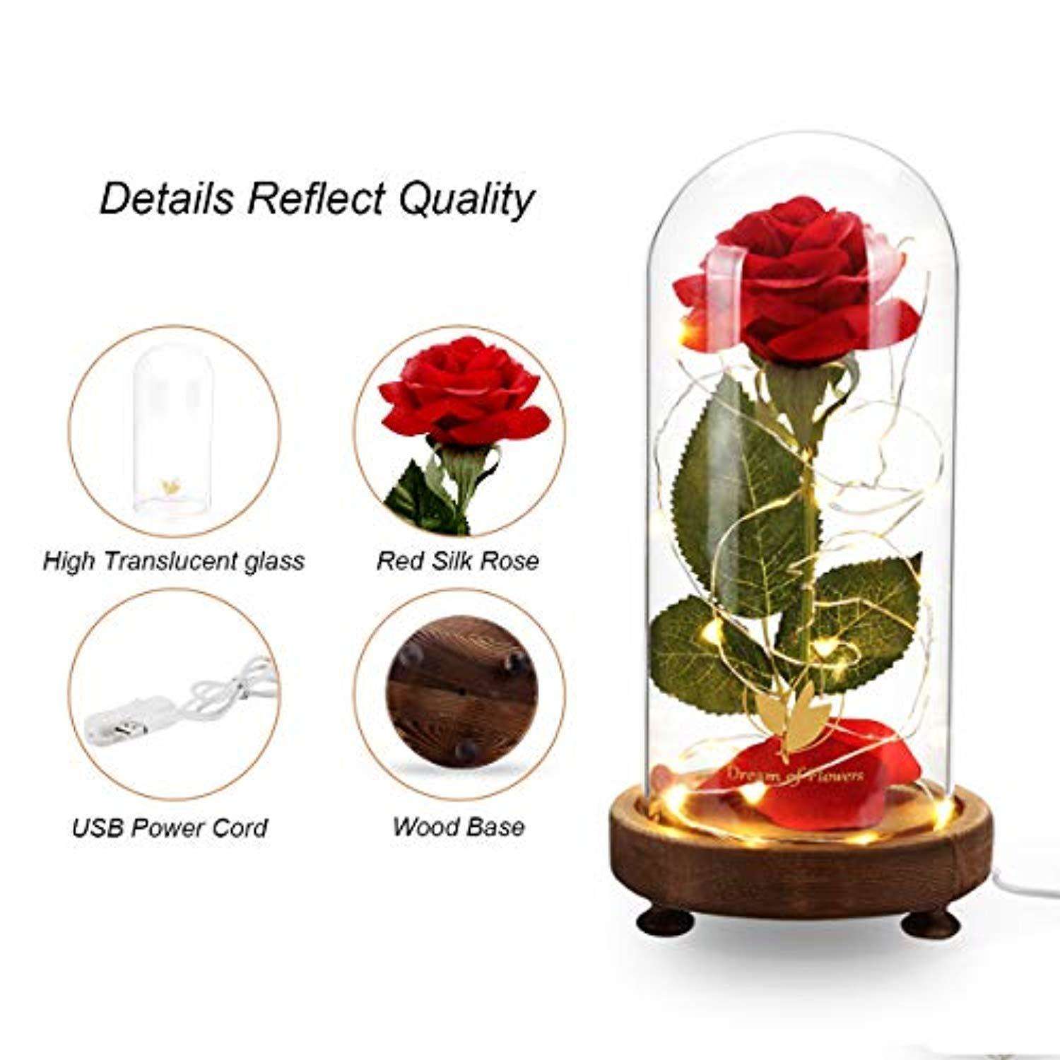 Magnificent Glass Domed Light Up LED Roses In God s Service Store